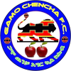 Team logo